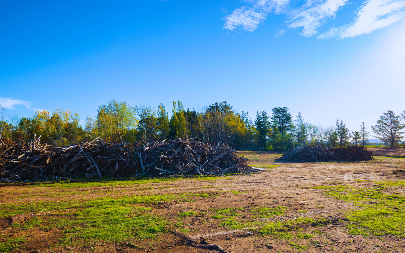 Site Preparation